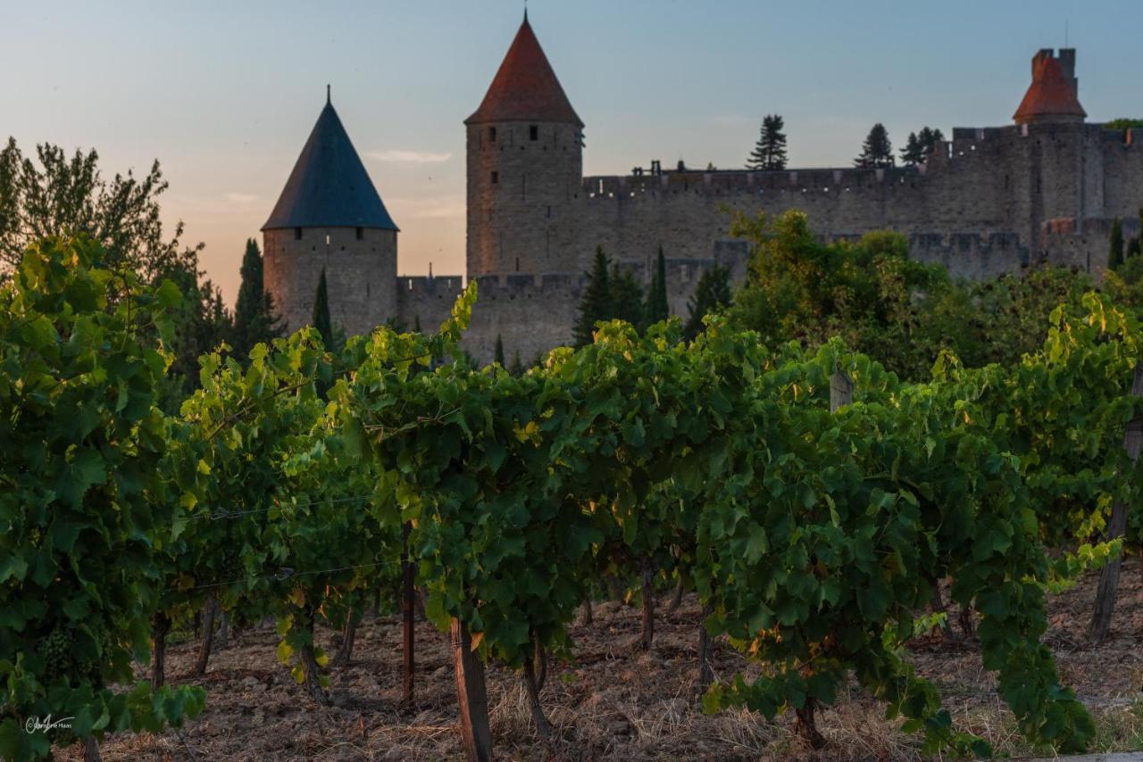 Cerise Carcassonne Sud Hotel ภายนอก รูปภาพ